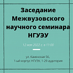 Межвузовский научный семинар НГУЭУ